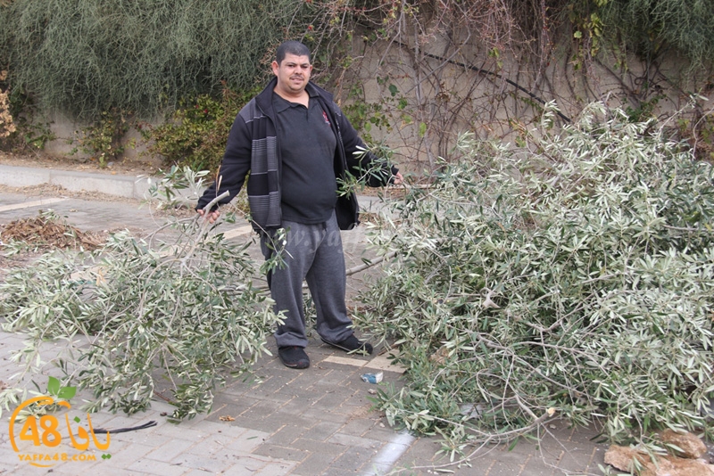 taso mashro3 tandaef (45).JPG